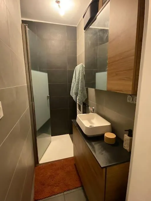 2 Chambres Avec Vue Sur Lyon La Mulatiere